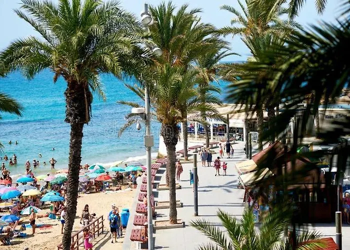 Lägenhet Puerto Torrevieja